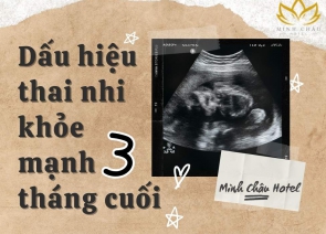 Dấu Hiệu Thai Nhi Khỏe Mạnh 3 Tháng Cuối: Thông Tin A-Z Mẹ Bầu Nên Biết