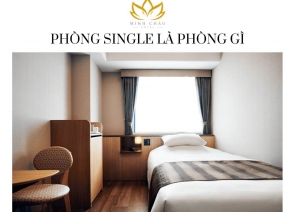 Phòng Single Là Phòng Gì? Tìm Hiểu Đặc Điểm Và Lợi Ích Của Loại Phòng Này