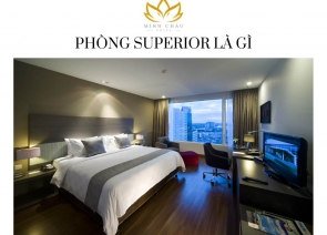 Phòng Superior là gì? Tìm hiểu đặc điểm, phân loại và cách lựa chọn